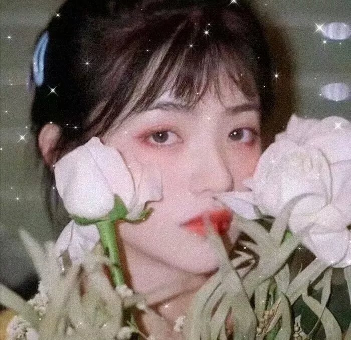 毛衣女郎